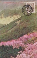 1928-1939. JAPAN. CARTE POSTALE Motive: HANAYAGURA YOSHINOYAMA. Franking Tazawa-issue ½ Sn Ca... (Michel 110) - JF435856 - Lettres & Documents