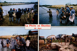 LA PECHE EN DOMBES ETANG VIDE PECHE A L'EPUISETTE TRIAGE DU POISSON EXPEDITION DU POISSON EN BACS OXYGENES 1971 - Unclassified