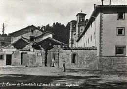 SANT' EREMO DI CAMALDOLI - CARTOLINA FG SPEDITA NEL 1956 - INGRESSO - ANIMATA - Arezzo