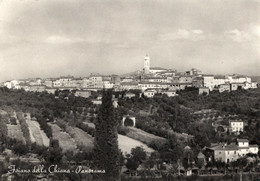 FOIANO DELLA CHIANA - CARTOLINA FG SPEDITA NEL 1955 - PANORAMA - Arezzo