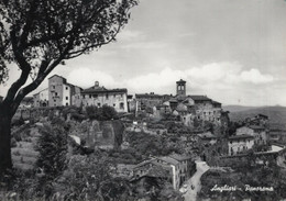 ANGHIARI - CARTOLINA FG SPEDITA NEL 1959 - PANORAMA - Arezzo