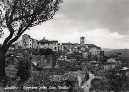 ANGHIARI - CARTOLINA FG SPEDITA ANNI 50/60 - PANORAMA DELLA CITTA' VECCHIA - Arezzo