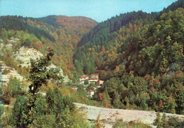 BADIA PRATAGLIA - CARTOLINA FG SPEDITA ANNI 70 - FIUME D'ISOLA - Arezzo