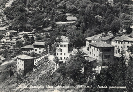 BADIA PRATAGLIA - AREZZO - CARTOLINA FG SPEDITA ANNI 50 - SCORCIO PANORAMICO - Arezzo