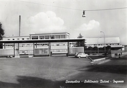 SANSEPOLCRO - CARTOLINA FG SPEDITA NEL 1969 - STABILIMENTO BUITONI - INGRESSO - ANIMATA - AUTO EPOCA - Arezzo