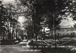 VALLOMBROSA - CARTOLINA FG SPEDITA NEL 1956 - SEDE FORESTALE E VIALE D'ACCESSO ALL'ABBAZIA - Arezzo