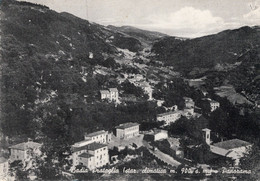 BADIA PRATAGLIA - CARTOLINA FG SPEDITA NEL 1960 - PANORAMA - Arezzo