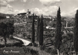 POPPI - CASENTINO - AREZZO - CARTOLINA FG SPEDITA NEL 1955 - PANORAMA - Arezzo