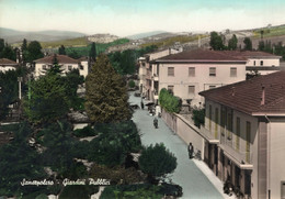 SANSEPOLCRO - CARTOLINA FG SPEDITA ANNI 60 - GIARDINI PUBBLICI - ANIMATA E MOVIMENTATA - Arezzo