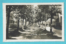 * Wavre - Waver (Waals Brabant Wallon) * (Carte Photo - Fotokaart, Nr 18) La Belle Voie, Allée, Arbres, Parc, Old - Waver