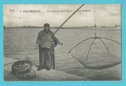 * Zeebrugge (Kust - Littoral) * (A.S., La Belgique Pittoresque, Nr 8) Le Pecheur De Crabes Sur Le Mole, Quai, Fish, Old - Zeebrugge