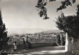 AREZZO - CARTOLINA FG SPEDITA NEL 1955 - PANORAMA - ANIMATA - Arezzo