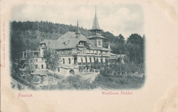 ZURICH - Waldhaus Dolder - Très Bon état - Wald