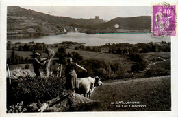 Chambon Sur Lac * Vue Sur Le Lac Chambon * Agriculture Boeufs Fenaison - Andere & Zonder Classificatie