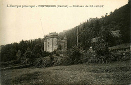 Fontanges * Vue Sur Le Château De Palmont - Sonstige & Ohne Zuordnung
