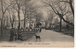 ALES - La Prairie - Les Guinguettes 1908 - Alès