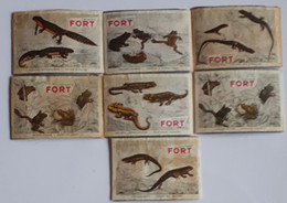 7 Vintage Lucifersetiketten / Matchboxeslabels FORT : AMPHIBIEËN - Zündholzschachteletiketten