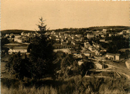 Le Chambon Sur Lignon * Vue Générale Sur Le Village - Le Chambon-sur-Lignon