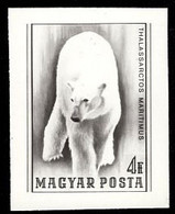 HUNGARY(1977) Polar Bear. Photographic Proof. Scott No 2512. - Proofs & Reprints