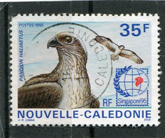 NOUVELLE CALEDONIE  N°  696  (Y&T)  (Oblitéré) - Used Stamps