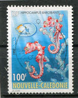 NOUVELLE CALEDONIE  N°  740  (Y&T)  (Oblitéré) - Used Stamps