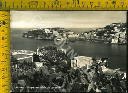 Latina Ponza Panorama Visto Da Ponente - Latina