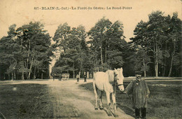 Blain * La Forêt Du Gavre , Le Rond Point * Cheval Villageois - Blain