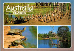 ( 1 N 28) Australia - Goose Bird + Swan + Turtles - Tartarughe