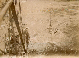 Pêche Au Requin * Bateau Pêcheurs * Africa Afrique Noire éthnique Ethnic Ethno * Photo Albuminée 1900 11.4x8.4cm - Visvangst