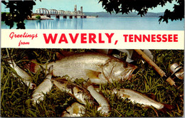 Greetings From Waverly Tennessee - Souvenir De...