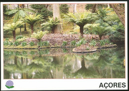 Portugal Entier Postal Açores Parc A S. Miguel Ile Volcanique Azores Postal Stationery S. Miguel Park Volcanic Island - Volcans