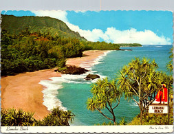 Hawaii Kauai Lumanai Beach View From Second View Point 1975 - Kauai