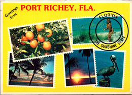 Greetings From Port Richey Florida Multi View 1982 - Souvenir De...