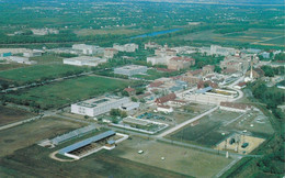 An Aerial View Of The University Of Manitoba Campus In Fort Garry, Just South Of Winnipeg, Manitoba - Winnipeg