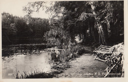 AK - NÖ - Litschau - Die Alte Teichpromenade - 1953 - Gmünd