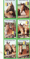 Czechia 1999, Boites D'allumettes- Etiquettes, Matchbox Labels, Horse, Pferd, Caballo, Cavallo, Hrebčínec Písek - Zündholzschachteletiketten