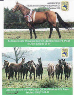 Czechia 1999, Boites D'allumettes- Etiquettes, Matchbox Labels, Horse, Pferd, Caballo, Cavallo, - Zündholzschachteletiketten