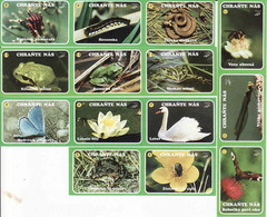 Czechia 1999, Boites D'allumettes- Etiquettes, Matchbox Labels, Protect Nature, Frog, Butterfly, Swan, Snake,... - Zündholzschachteletiketten