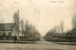 Sinceny * 1906 * L'allée * Marchand De Plaisirs * Villageois - Andere & Zonder Classificatie