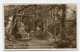 AK 099685 ENGLAND - Old Stone Seat In The Landslip Nr. Shanklin - Shanklin