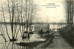 Montargis * La Prairie Pendant Les Grandes Eaux Au Pont St Roch * Inondation Catastrophe - Montargis