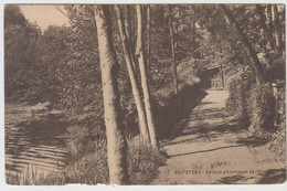 Boisfort - Un Coin Pittoresque De L'Etang - Watermael-Boitsfort - Watermaal-Bosvoorde