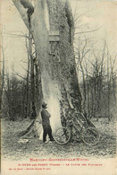 Martigny * Contrexéville Vittel * Le Chêne Des Partisans * Arbre - Autres & Non Classés