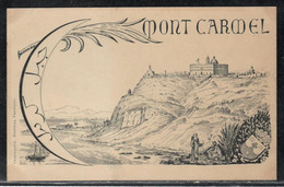 MONT CARMEL Palestine Postcard 9x14cm Publisher: Hopital Francais Jerusalem - Palestine