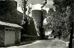 Le Malzieu Sur Truyère * Rue Du Village Et Les Fortifications - Other & Unclassified