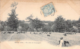 CPA - France - 18 - MASSAY - Un Coin De Campagne - Troupeau De Moutons - Berger - Massay