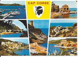 Cap Corse - Tolare, Morsiglia, Porticciolo, Losse Centuri, Pino, Macinaggio - Date De  1981 - Autres & Non Classés