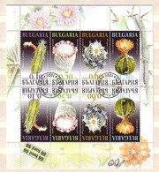 2009 Flora Cactusses  Sheet Of Two Sets - Used (O) Bulgaria / Bulgarie - Gebraucht