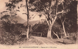 CPA NOUVELLE CALEDONIE - Paysage Pris à L'hermitage - Nouvelle-Calédonie