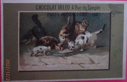 Chromo Chocolat Ibled  Rue Du Temple Paris Mondicourt Chat Chaton - Tarifs - Ibled